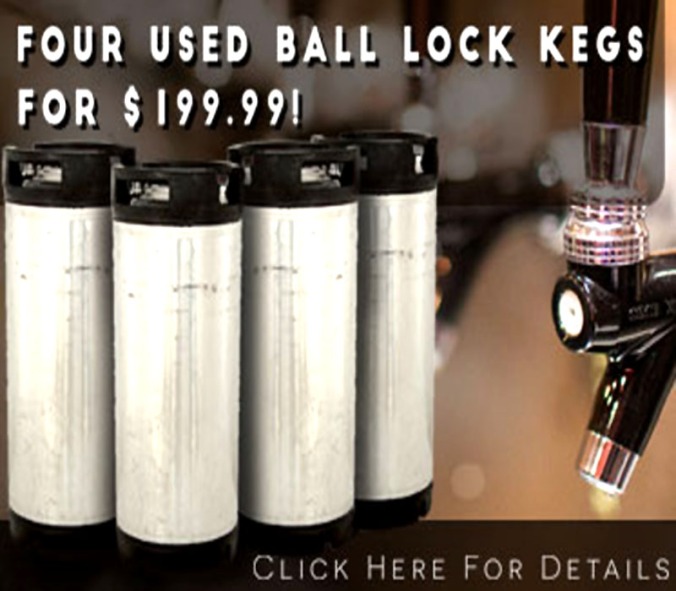 Get 4 Homebrewing Kegs for Only $199